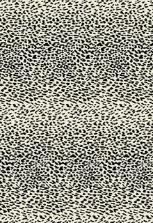 豹纹 手绘豹纹图片