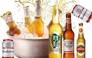 啤酒 一瓶啤酒 几瓶啤酒图片