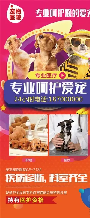 宠物海报图片