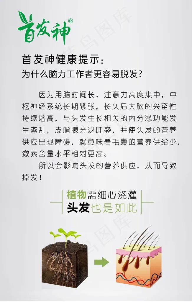 中药养发图片psd模版下载