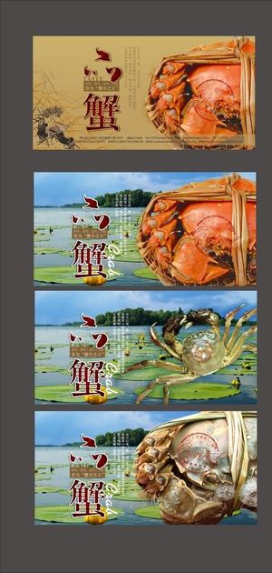 品蟹 大闸蟹海报图片