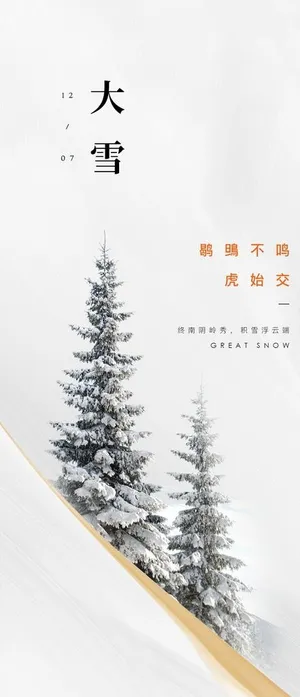 大雪节气海报图片