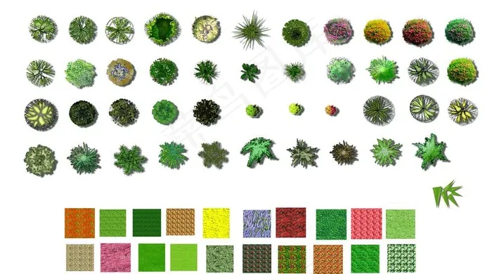 彩色植物平面图图片psd模版下载