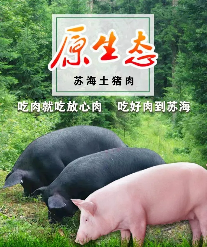 野生猪肉图片(7677X9449(DPI:300))psd模版下载