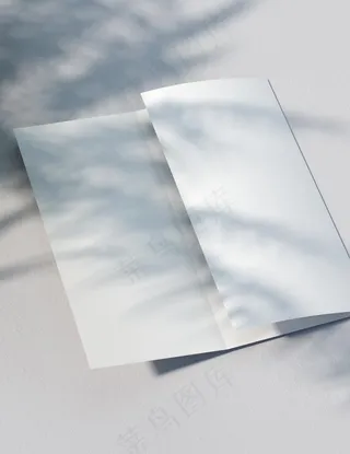 三折页样机图片