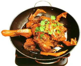 铁盔将军鸭图片