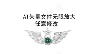 陆军胸标徽章图片