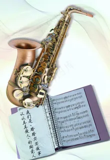 沙克斯图片 沙克斯图片