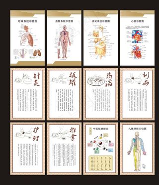 医院养生保健推拿挂图图片