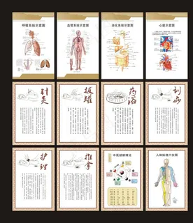 医院养生保健推拿挂图图片 医院养生保健推拿挂图图片