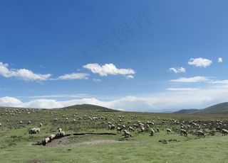 蓝天白云草原图片