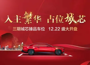 车位桁架图片