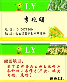 玉米名片图片 玉米名片图片