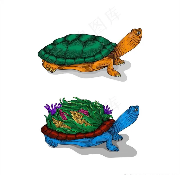 卡通乌龟图片ai矢量模版下载