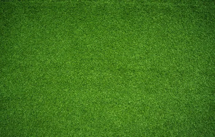 绿色草皮图片