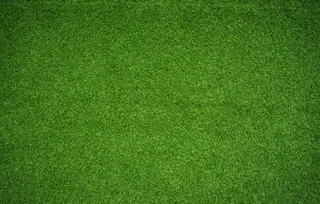 绿色草皮图片