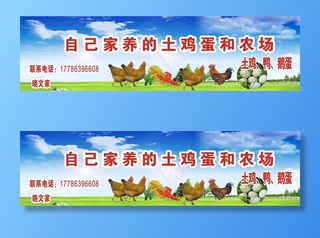 土鸡蛋招牌设计图片