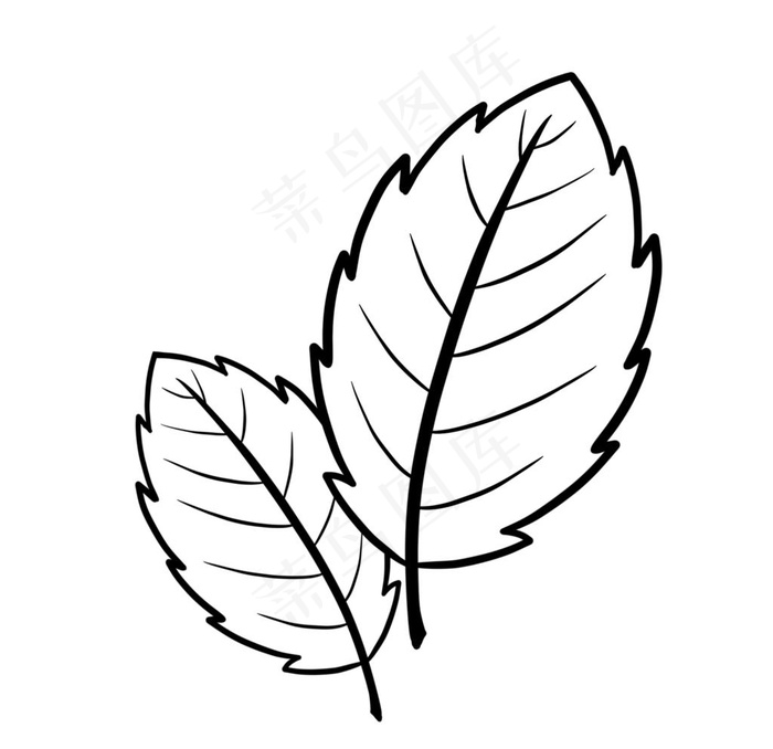 薄荷叶图片psd模版下载