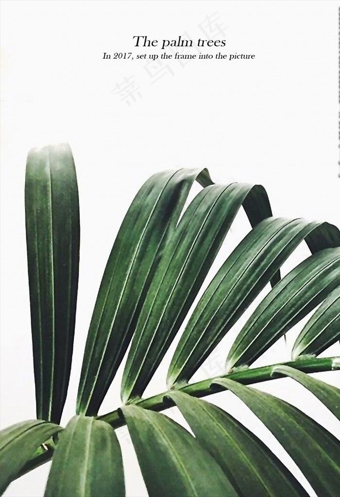 北欧小清新客厅植物画图片