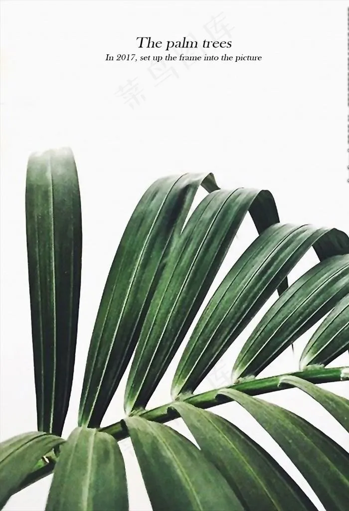 北欧小清新客厅植物画图片