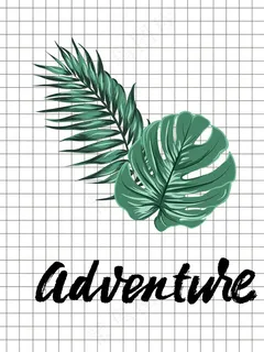 北欧ins小清新绿叶图片