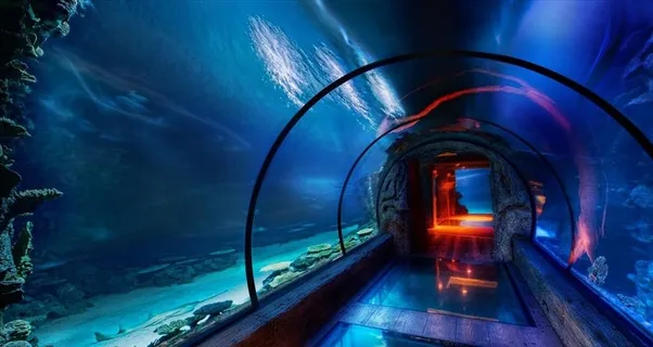 海底海洋馆图片 海底海洋馆图片