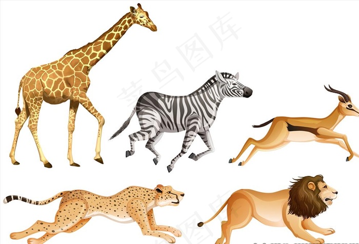 手绘动物图片ai矢量模版下载