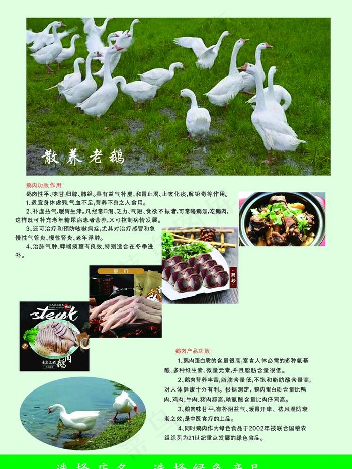 生态农庄产品展板宣传单图片(3150X4331(DPI:100))psd模版下载