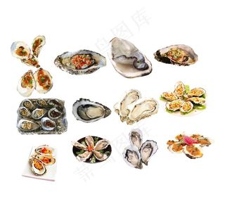 生蚝图片