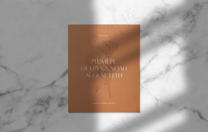 光影图片(2500X1664(DPI:72))psd模版下载