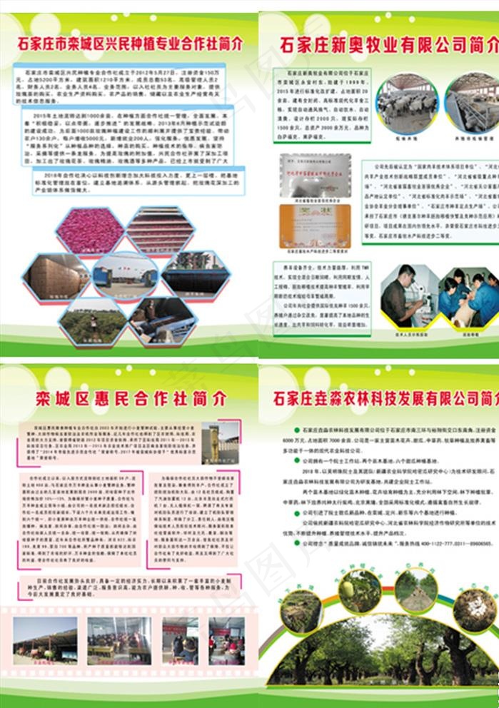 简介图片(2523X3373(DPI:72))psd模版下载