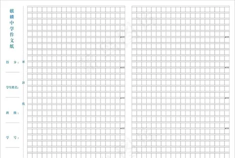 作文纸1000字图片