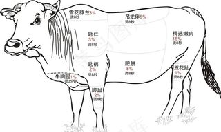 矢量牛肉部位分割图图片