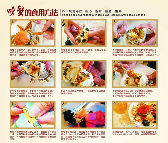 螃蟹的吃法图片cdr矢量模版下载