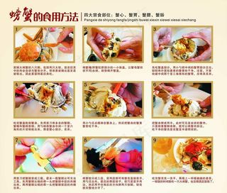 螃蟹的吃法图片