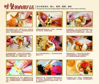 螃蟹的吃法图片