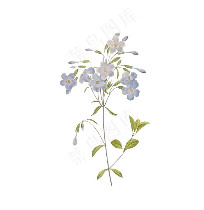 花图片psd模版下载