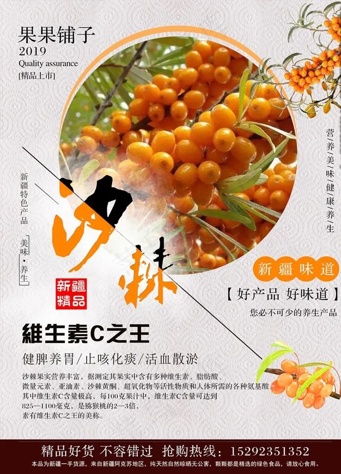 沙棘果海报图片(2835X3780(DPI:120))psd模版下载