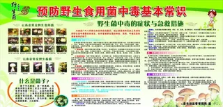 预防食用野生菌中毒基本常识图片