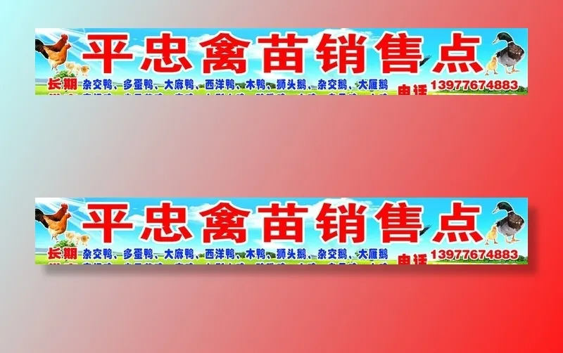 平忠禽苗销售点招牌图片(11811X1969(DPI:50))psd模版下载