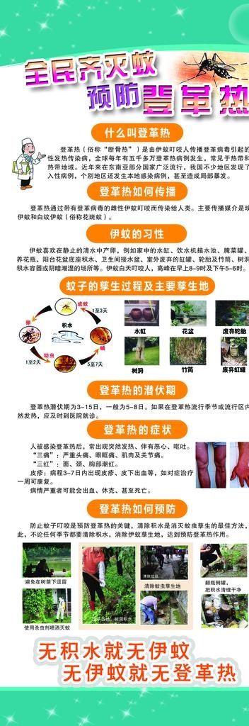 预防登革热图片