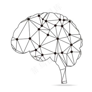 大脑线条图图片