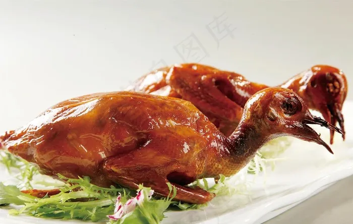 吊烧乳鸽图片