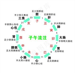 子午流注图片