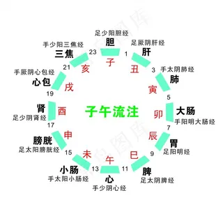 子午流注图片