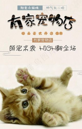 宠物店宠物医院图片