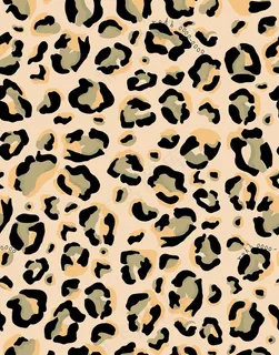 豹纹图片