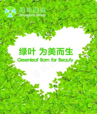 绿叶集团图片