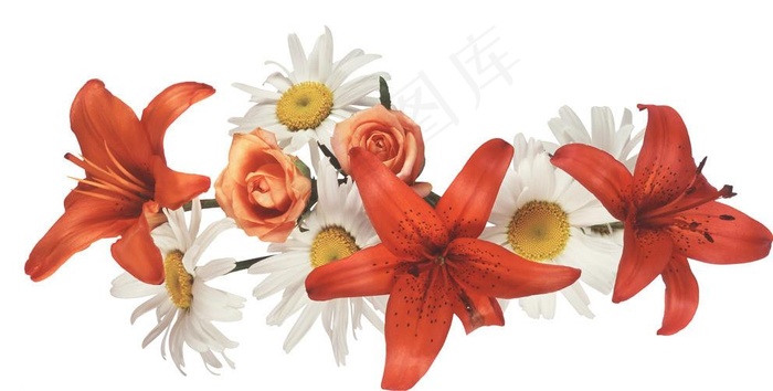 装饰花卉图片
