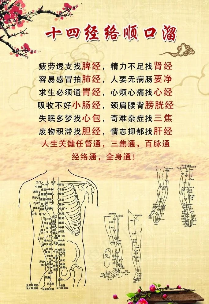 艾灸  全身经络图片(4725X7086(DPI:200))psd模版下载